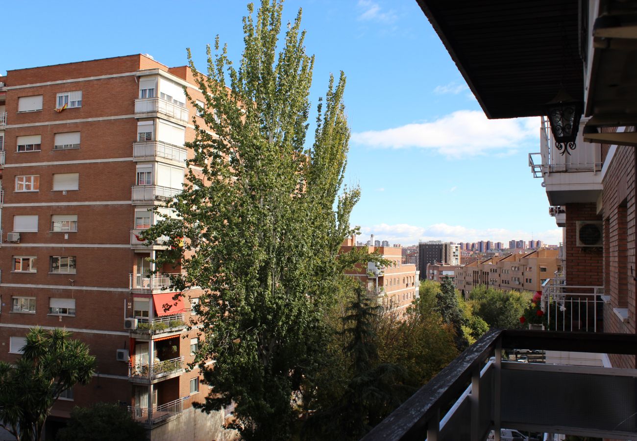 Apartamento en Madrid - Amplio apartamento, Madrid Centro. WIFI