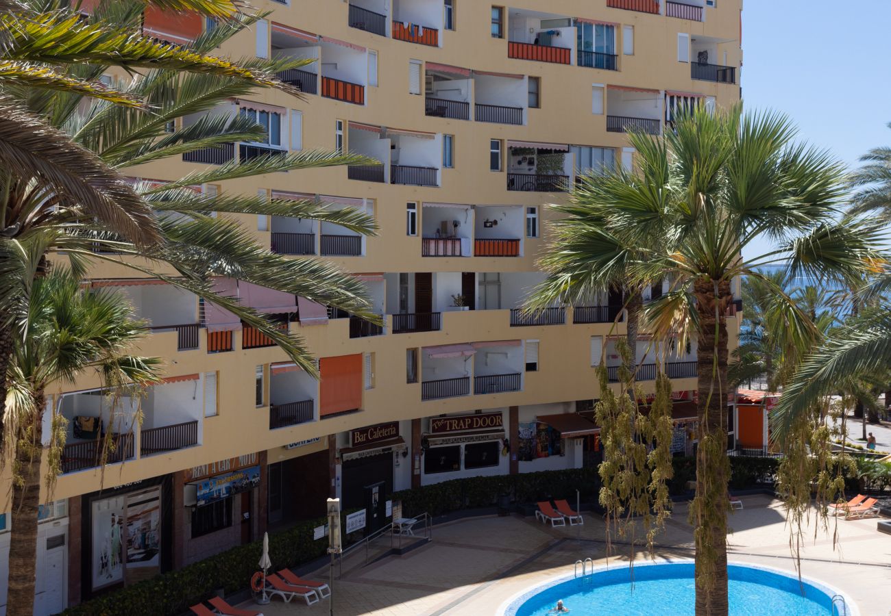 Apartamento en Arona - Los Cristianos. Fantastic seafront apt