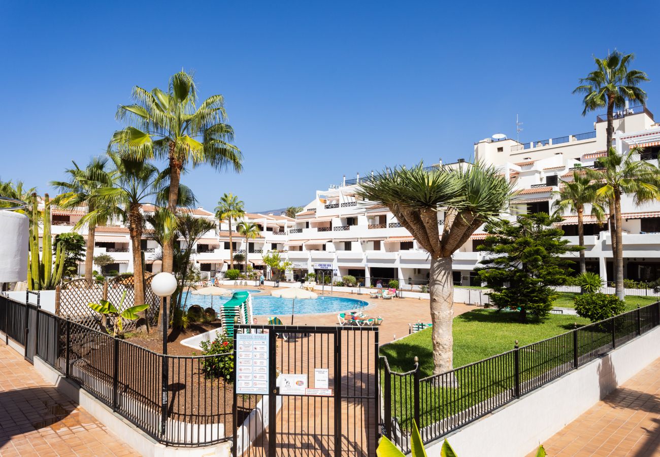 Apartamento en Los Cristianos - Superb pool view & next to ocean Los Cristianos