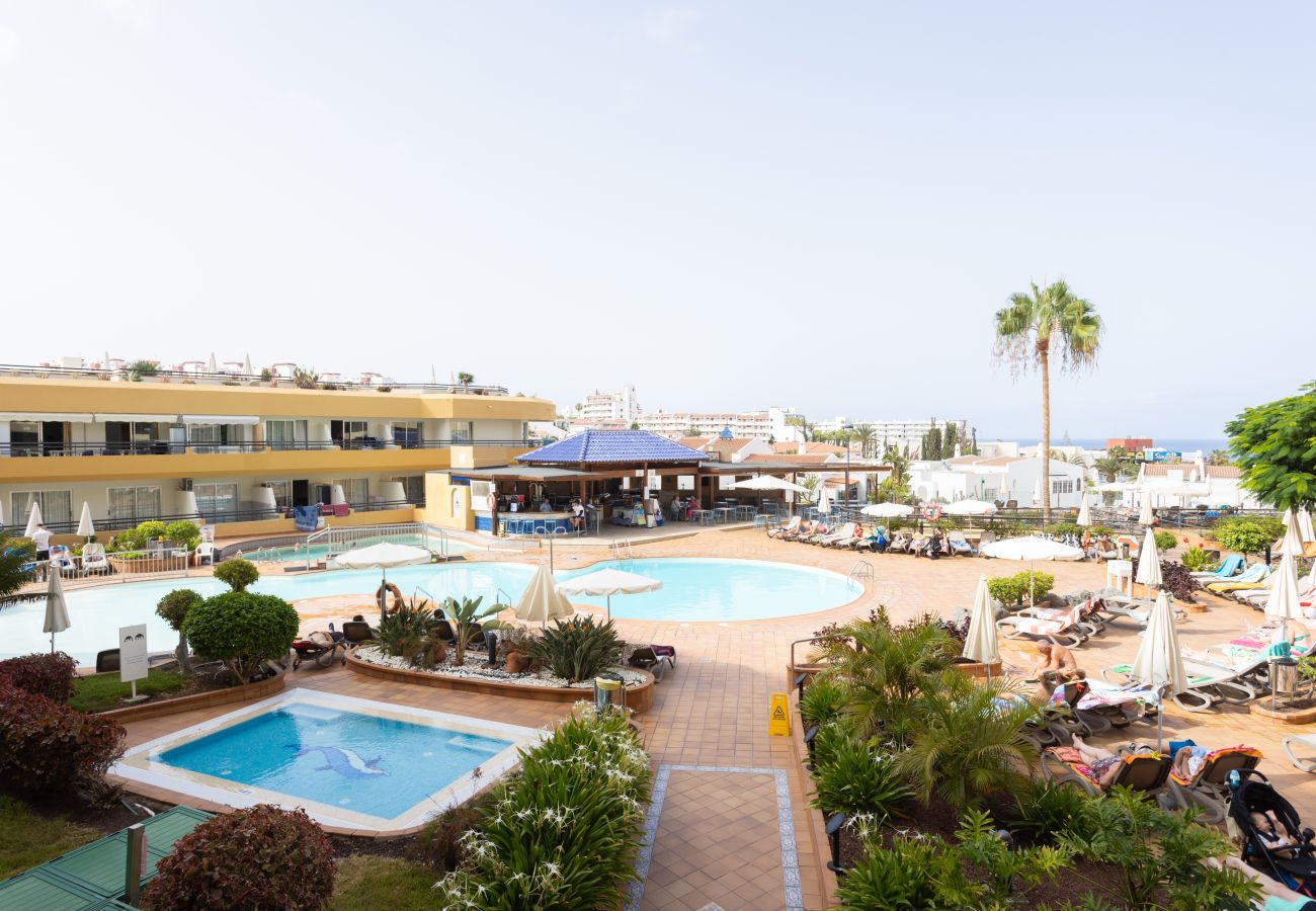 Apartment in Costa Adeje - POOL SUN VIEW APART 2 ADEJE