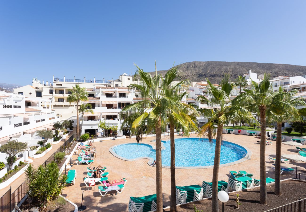 Apartment in Los Cristianos - Superb pool view & next to ocean Los Cristianos