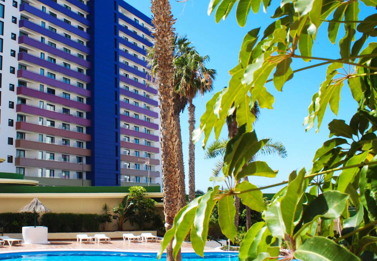 Appartamento a Playa Paraiso - Espléndidas vistas Wifi y playa